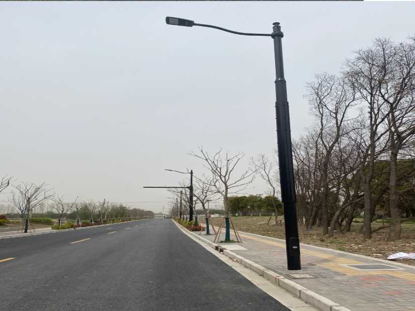从江县上海综合杆 太阳能路灯工程